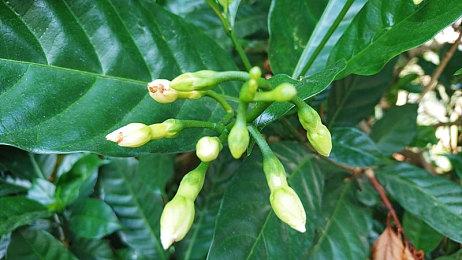 《我的世界》不会转为免费游戏：是游戏的重要价值观