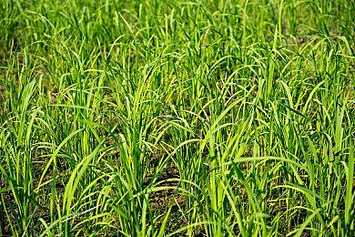 Steam东方武侠折扣周今日开启，《逸剑风云决》新番外篇同步上线